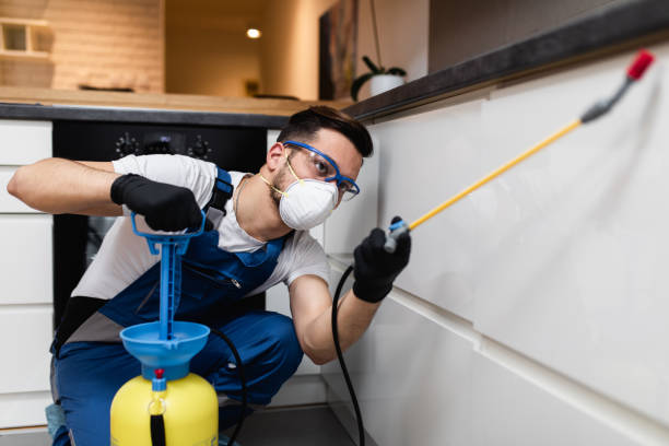 Best Termite Control Services  in Shepherdstown, WV