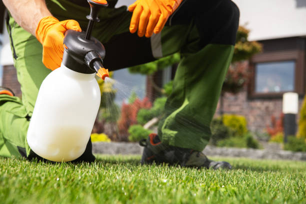 Best Wasp Removal Services  in Shepherdstown, WV
