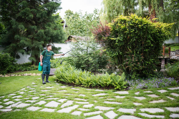 Best Residential Pest Control  in Shepherdstown, WV
