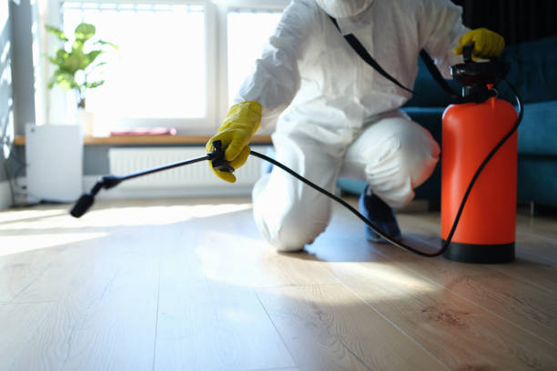 Best Flea Control Services  in Shepherdstown, WV