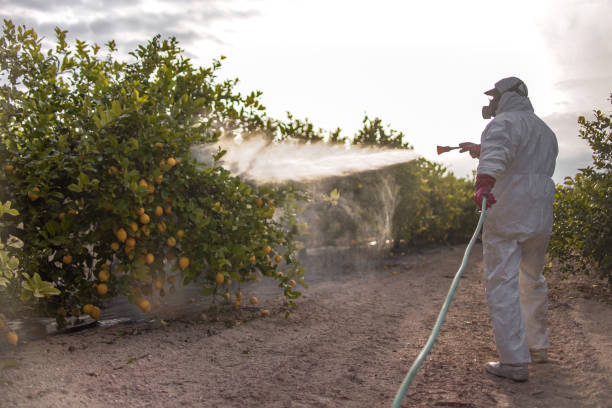 Best Commercial Pest Control Services  in Shepherdstown, WV