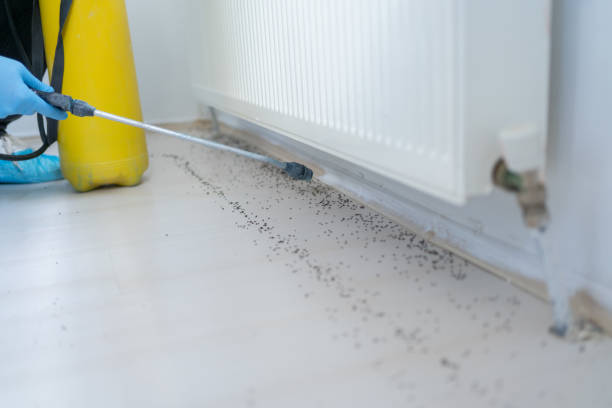 Best Pest Control for Businesses  in Shepherdstown, WV